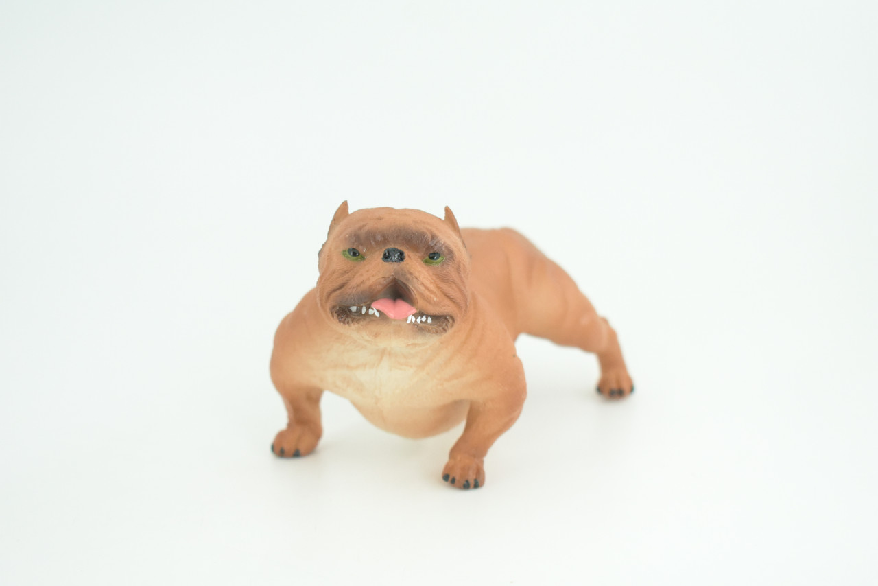 English BullDog,  Brown, Hand Painted, Educational, Museum Quality, Realistic Bull Dog, Solid Rubber, Canine, K9, Diorama, Figure, Toys, Kids, Gift,  5 Inches. CH885 BB201