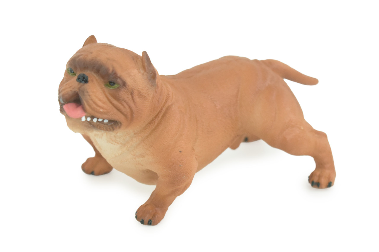 English BullDog, Brown, Hand Painted, Educational, Museum Quality, Realistic Bull Dog, Solid Rubber, Canine, K9, Diorama, Figure, Toys, Kids, Gift, 5 Inches. CH885 BB201