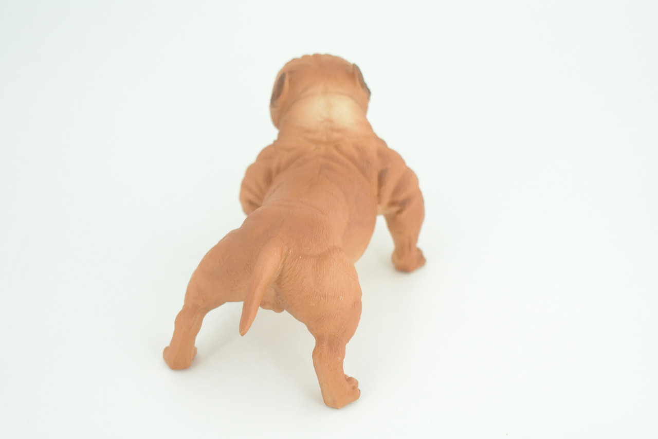 English BullDog,  Brown, Hand Painted, Educational, Museum Quality, Realistic Bull Dog, Solid Rubber, Canine, K9, Diorama, Figure, Toys, Kids, Gift,  5 Inches. CH885 BB201