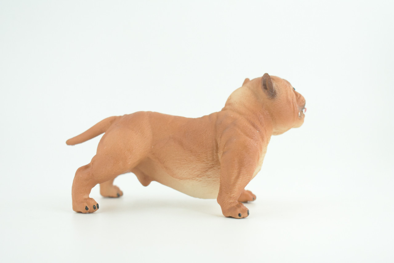 English BullDog,  Brown, Hand Painted, Educational, Museum Quality, Realistic Bull Dog, Solid Rubber, Canine, K9, Diorama, Figure, Toys, Kids, Gift,  5 Inches. CH885 BB201