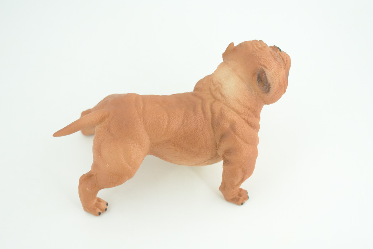 English BullDog,  Brown, Hand Painted, Educational, Museum Quality, Realistic Bull Dog, Solid Rubber, Canine, K9, Diorama, Figure, Toys, Kids, Gift,  5 Inches. CH885 BB201