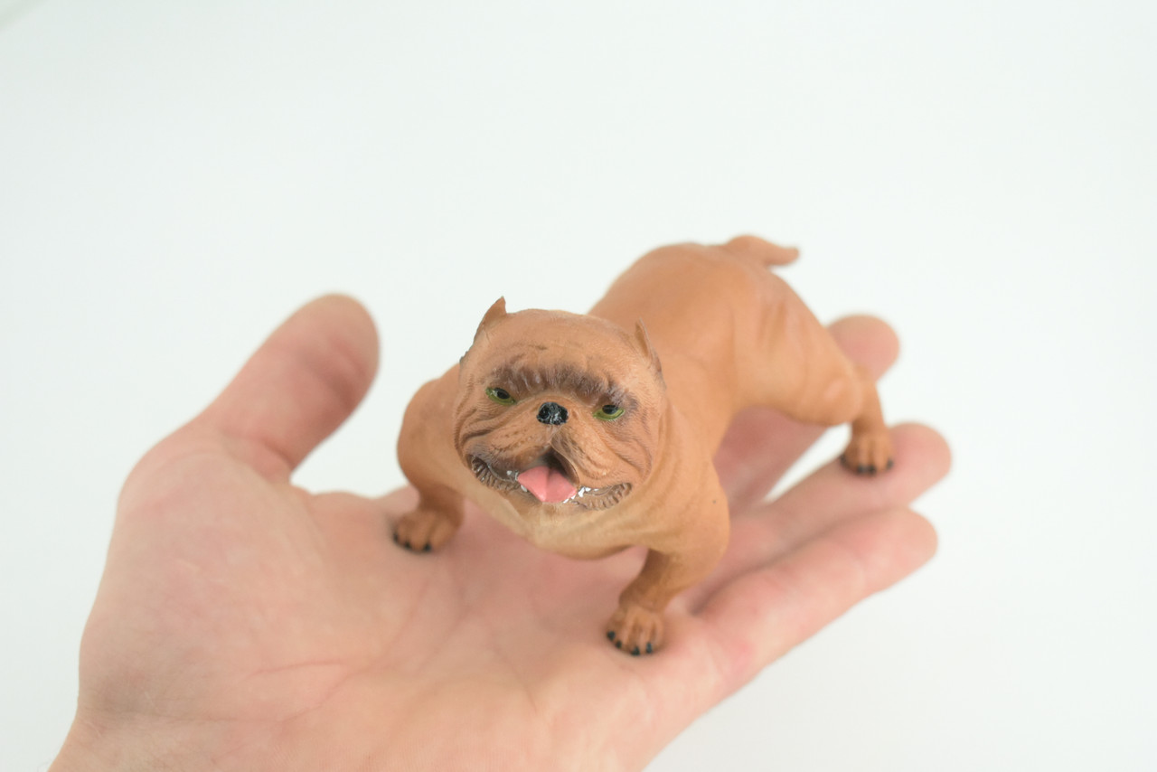 English BullDog, Brown, Hand Painted, Educational, Museum Quality, Realistic Bull Dog, Solid Rubber, Canine, K9, Diorama, Figure, Toys, Kids, Gift, 5 Inches. CH885 BB201