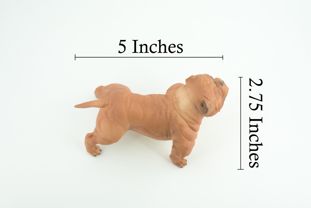 English BullDog, Brown, Hand Painted, Educational, Museum Quality, Realistic Bull Dog, Solid Rubber, Canine, K9, Diorama, Figure, Toys, Kids, Gift, 5 Inches. CH885 BB201