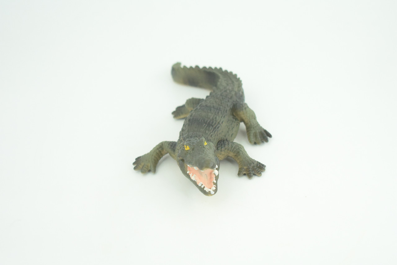 Alligator, American, Hand Painted, Museum Quality, Solid Rubber Animal, Educational, Realistic, Figure, Toy, Kids, Replica, Gift,   7 Inches.  CH888 BB202