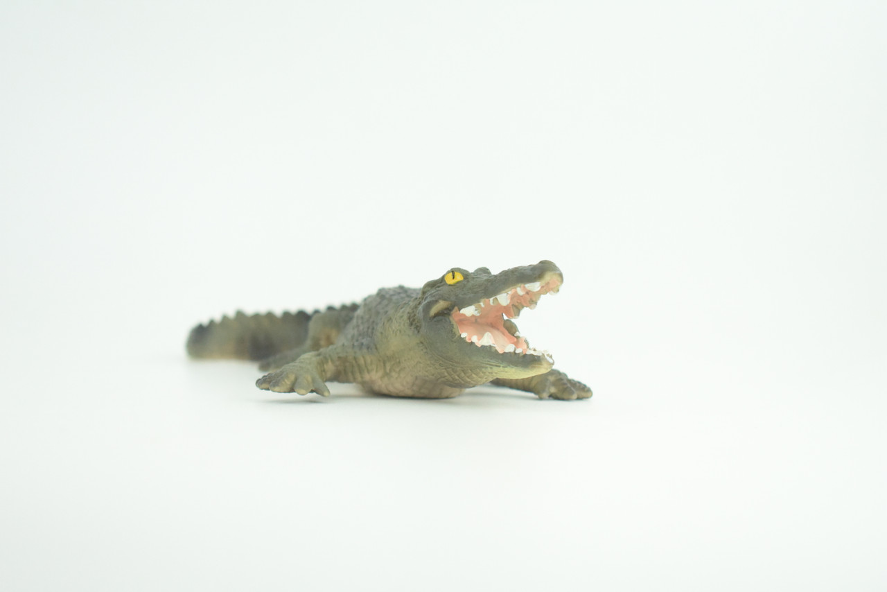 Alligator, American, Hand Painted, Museum Quality, Solid Rubber Animal, Educational, Realistic, Figure, Toy, Kids, Replica, Gift,   7 Inches.  CH888 BB202