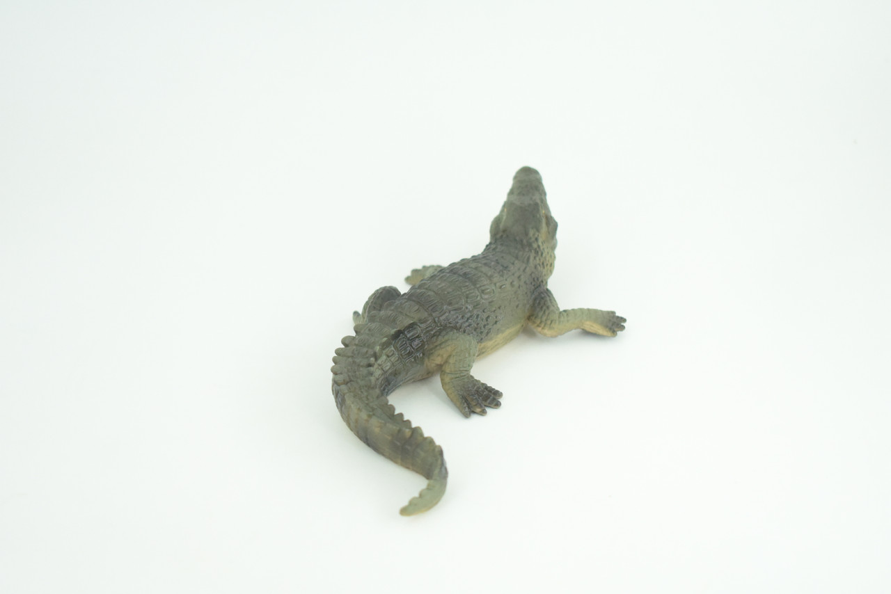 Alligator, American, Hand Painted, Museum Quality, Solid Rubber Animal, Educational, Realistic, Figure, Toy, Kids, Replica, Gift,   7 Inches.  CH888 BB202