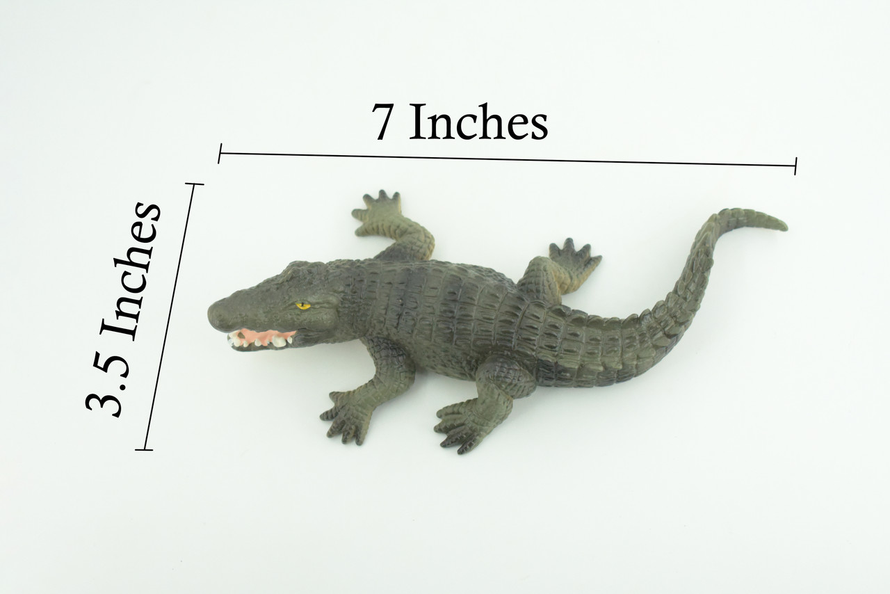 Alligator, American, Hand Painted, Museum Quality, Solid Rubber Animal, Educational, Realistic, Figure, Toy, Kids, Replica, Gift, 7 Inches. CH888 BB202