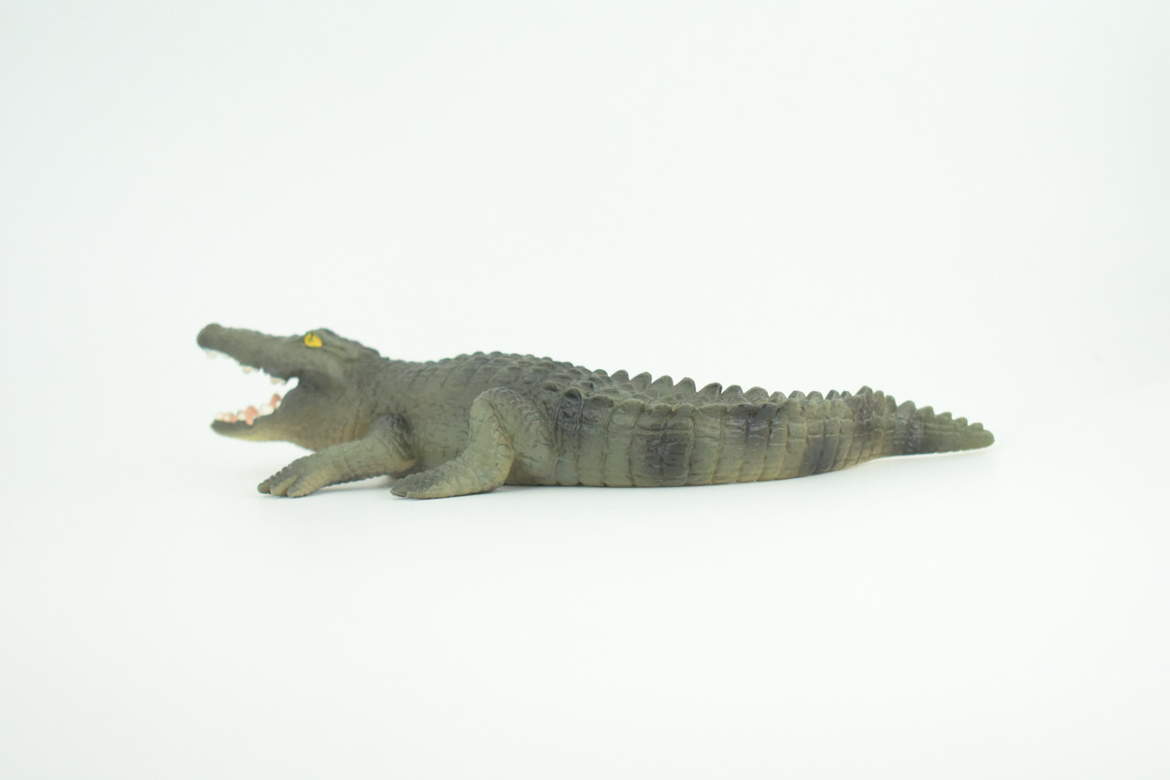 Alligator, American, Hand Painted, Museum Quality, Solid Rubber Animal, Educational, Realistic, Figure, Toy, Kids, Replica, Gift,   7 Inches.  CH888 BB202