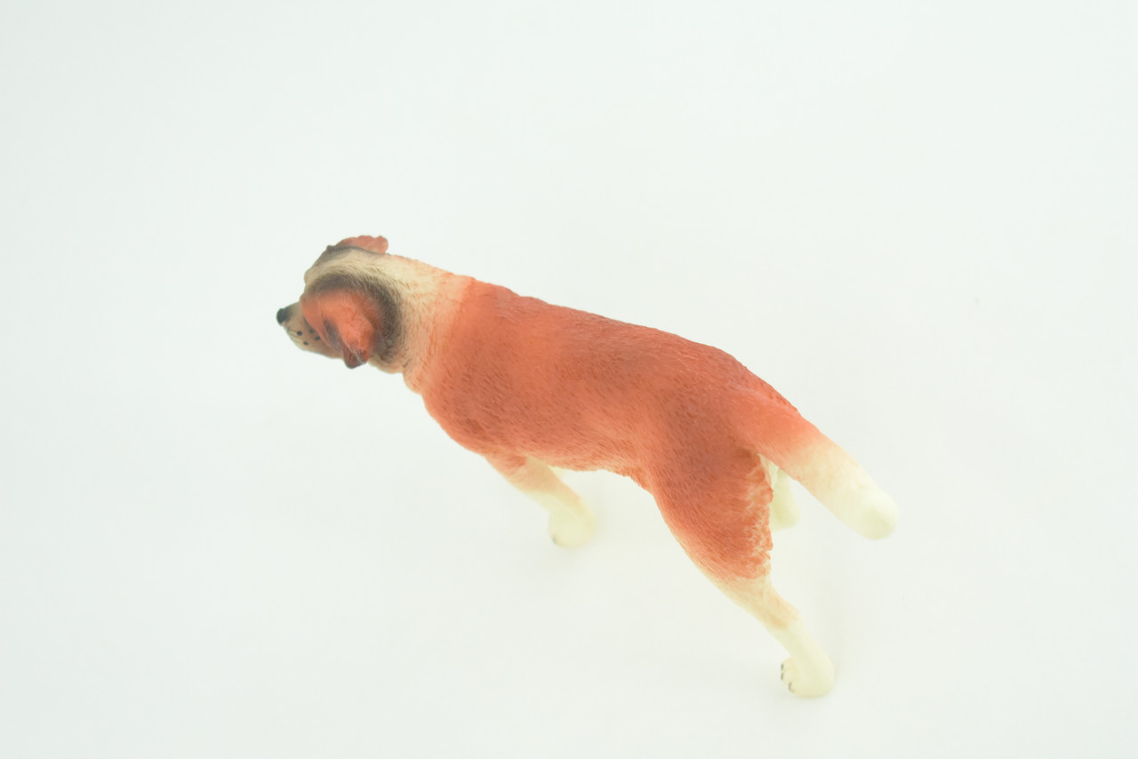 Saint Bernard Dog, Hand Painted, Educational, Museum Quality, Realistic, Rubber Canine, K9, Diorama, Figure, Toys, Kids, Gift,  5 Inches. CH889 BB202