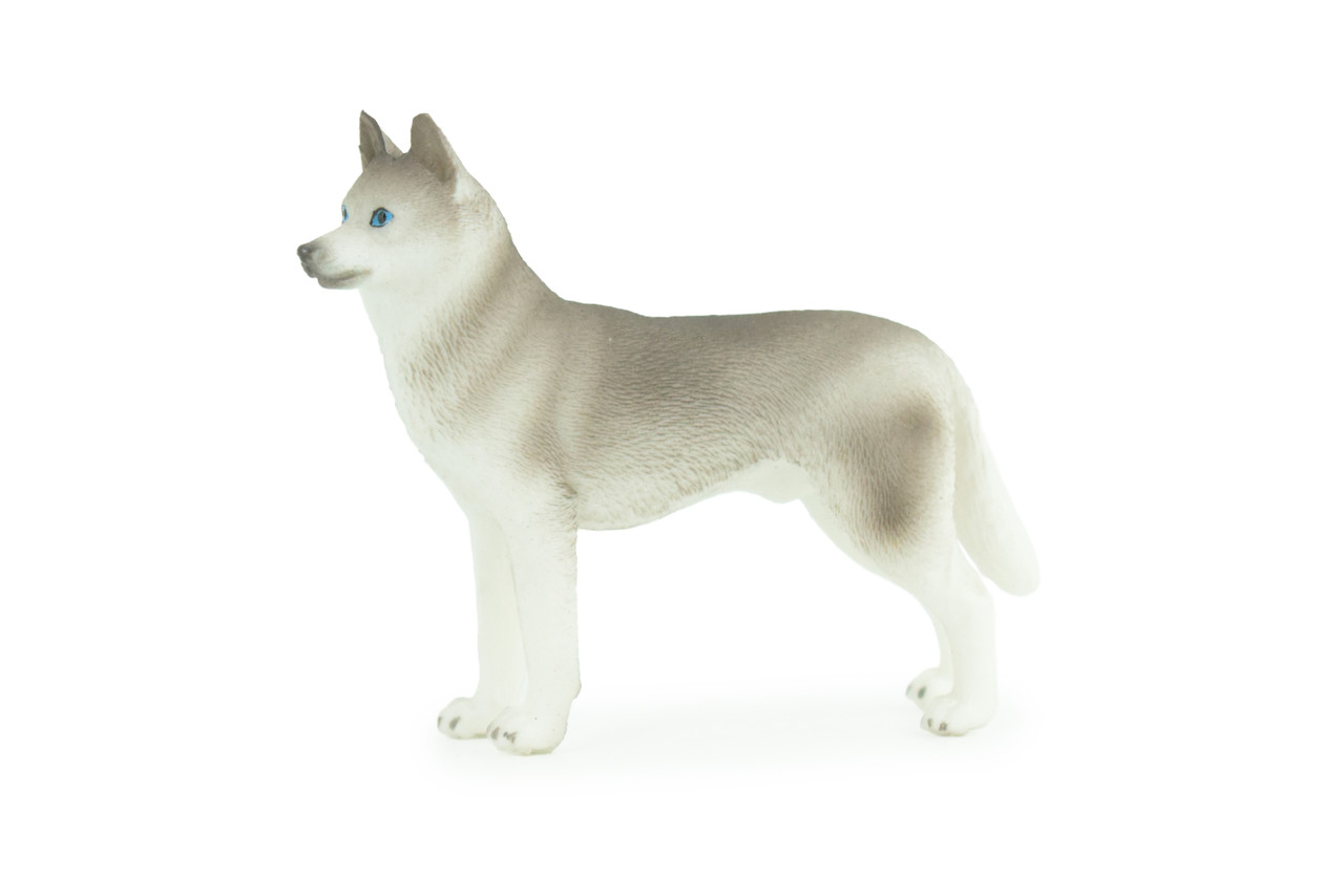 Siberian Husky Dog, Hand Painted, Educational, Museum Quality, Realistic, Rubber Canine, K9, Diorama, Figure, Toys, Kids, Gift, 3 1/2 Inches. CH900 BB202