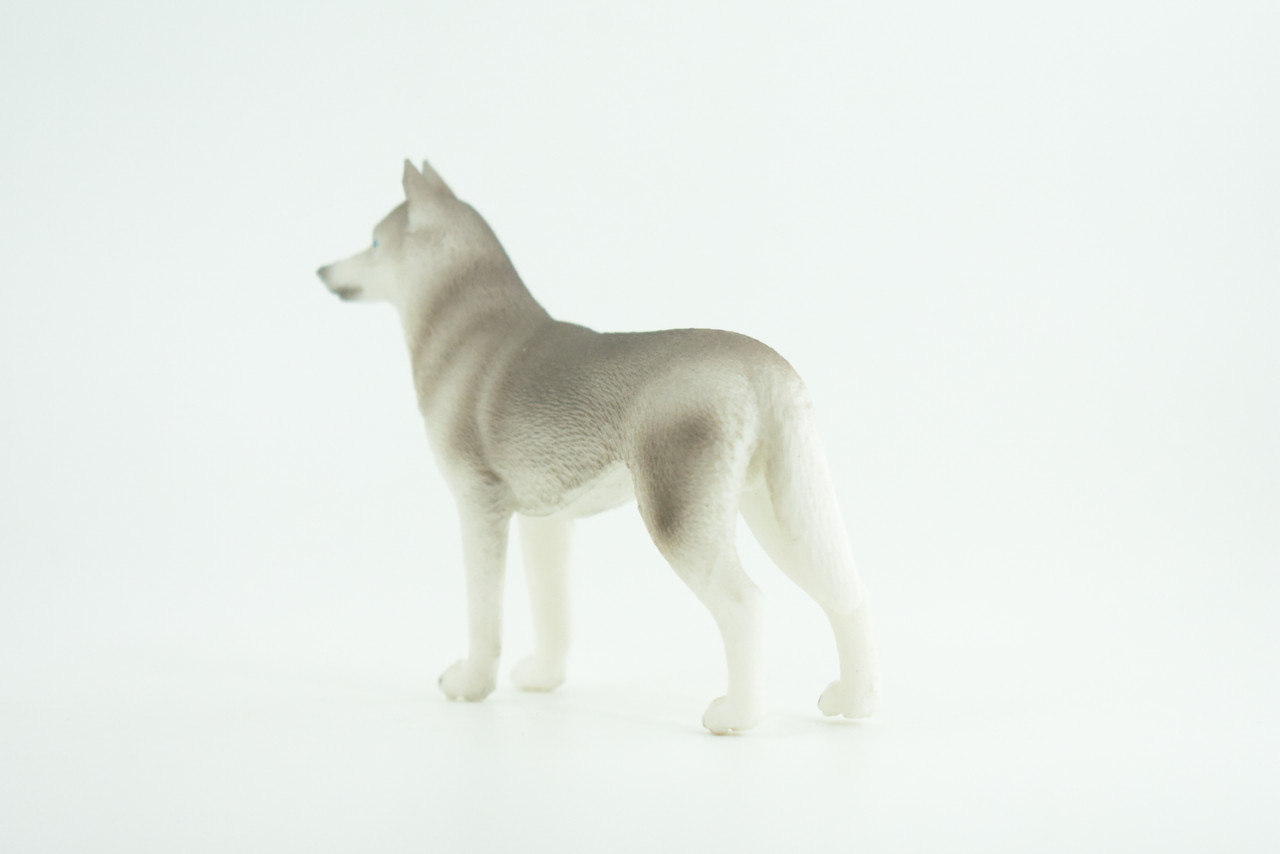 Siberian Husky Dog, Hand Painted, Educational, Museum Quality, Realistic, Rubber Canine, K9, Diorama, Figure, Toys, Kids, Gift,  3 1/2 Inches. CH900 BB202