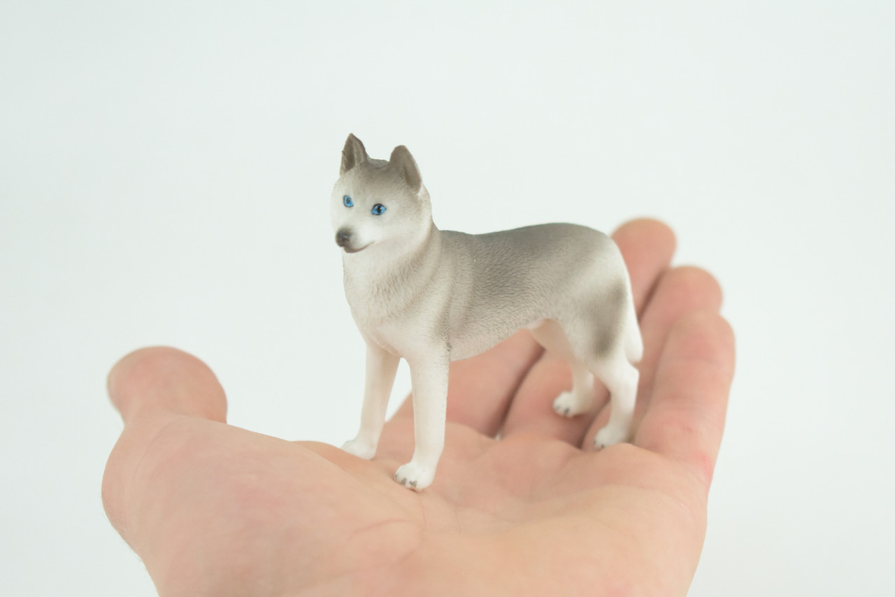 Siberian Husky Dog, Hand Painted, Educational, Museum Quality, Realistic, Rubber Canine, K9, Diorama, Figure, Toys, Kids, Gift, 3 1/2 Inches. CH900 BB202