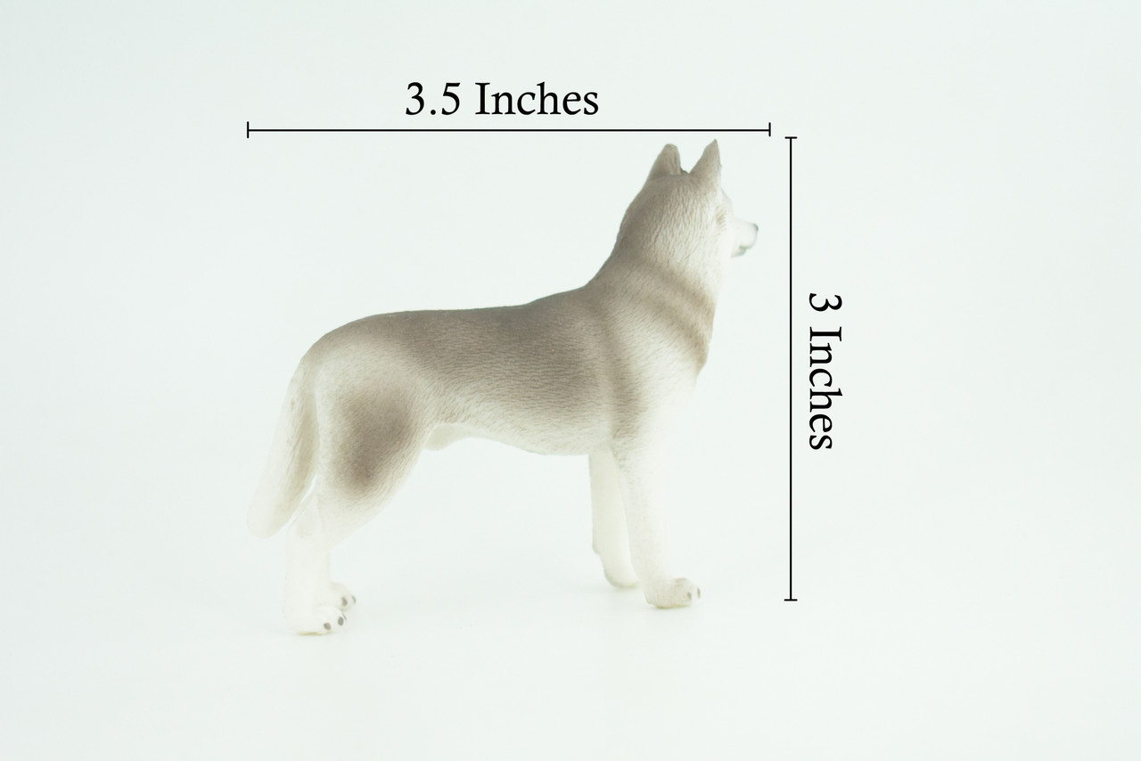 Siberian Husky Dog, Hand Painted, Educational, Museum Quality, Realistic, Rubber Canine, K9, Diorama, Figure, Toys, Kids, Gift, 3 1/2 Inches. CH900 BB202