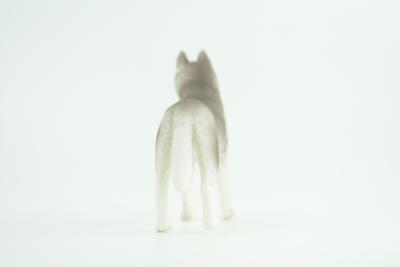 Siberian Husky Dog, Hand Painted, Educational, Museum Quality, Realistic, Rubber Canine, K9, Diorama, Figure, Toys, Kids, Gift,  3 1/2 Inches. CH900 BB202