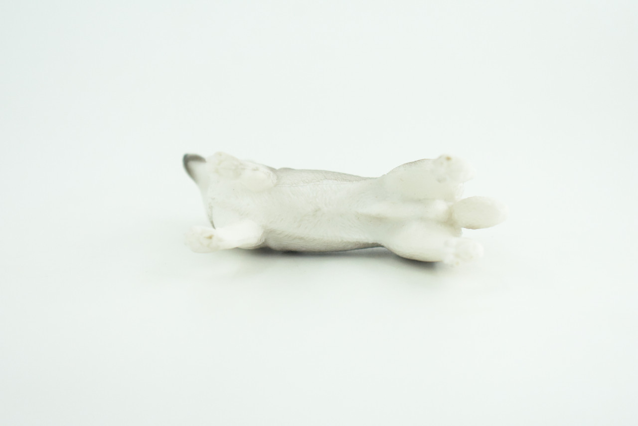 Siberian Husky Dog, Hand Painted, Educational, Museum Quality, Realistic, Rubber Canine, K9, Diorama, Figure, Toys, Kids, Gift,  3 1/2 Inches. CH900 BB202