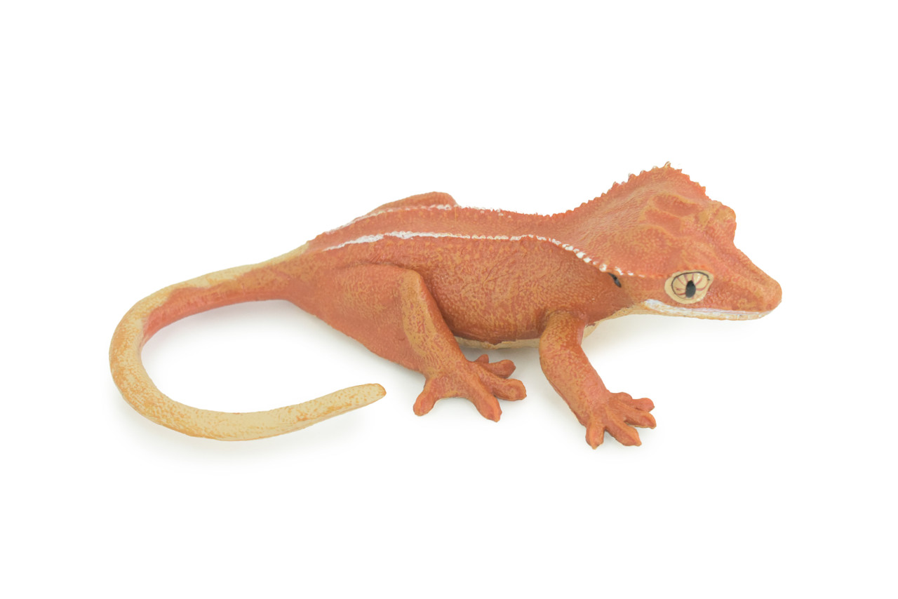 Crested Gecko, Eyelash Gecko, Museum Quality, Educational, Hand Painted, Rubber Lizard, Realistic Reptile, Diorama, Toy, Kids, Gift, 5 1/2 Inches. CH902 BB202
