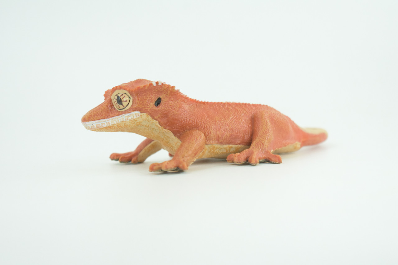 Crested Gecko, Eyelash Gecko, Museum Quality, Educational, Hand Painted, Rubber Lizard, Realistic Reptile, Diorama, Toy, Kids, Gift,   5 1/2 Inches.  CH902 BB202