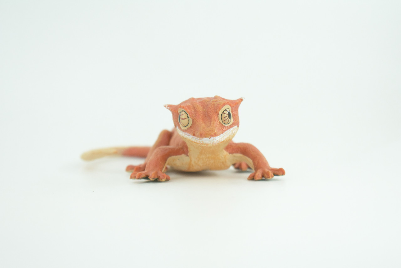 Crested Gecko, Eyelash Gecko, Museum Quality, Educational, Hand Painted, Rubber Lizard, Realistic Reptile, Diorama, Toy, Kids, Gift,   5 1/2 Inches.  CH902 BB202