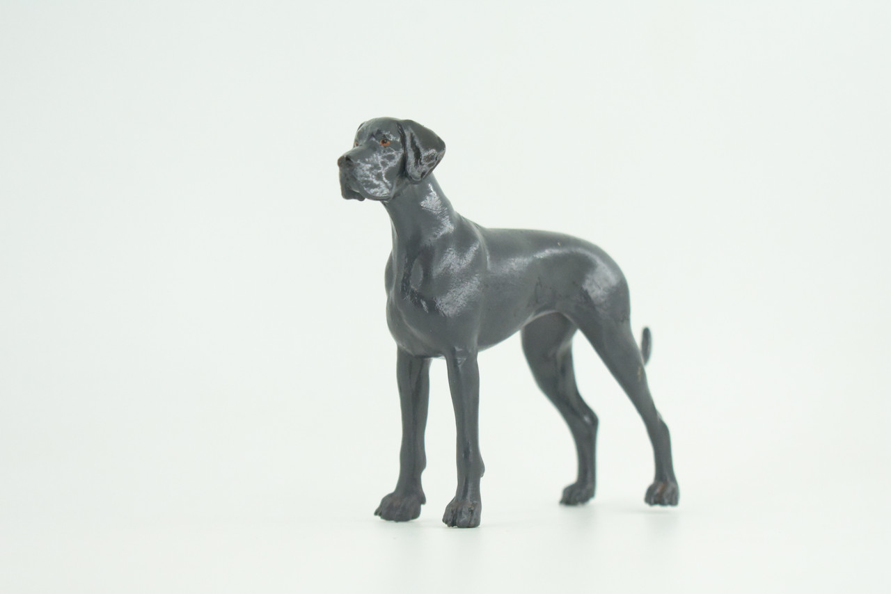 Great Dane Dog,  Hand Painted, Educational, Museum Quality, Realistic, Rubber Canine, K9, Diorama, Figure, Toys, Kids, Gift,  5 Inches. CH903 BB202