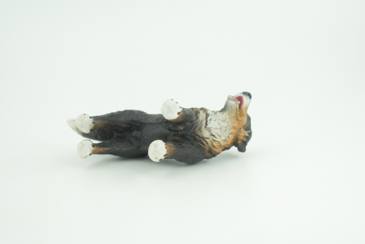 Bernese Mountain Dog, Hand Painted, Educational, Museum Quality, Realistic, Rubber Canine, K9, Diorama, Figure, Toys, Kids, Gift,  3 1/2 Inches. CH905 BB203