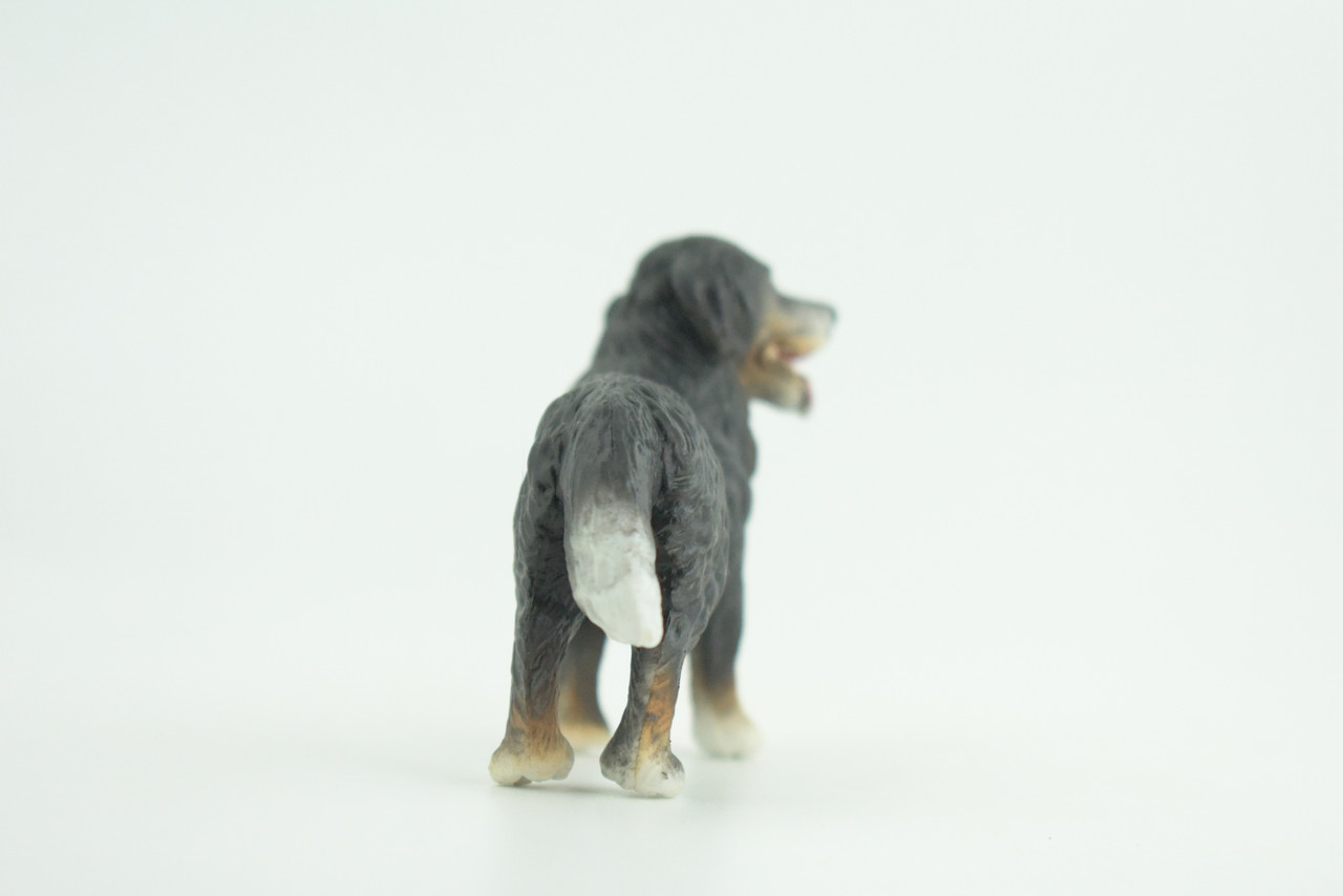 Bernese Mountain Dog, Hand Painted, Educational, Museum Quality, Realistic, Rubber Canine, K9, Diorama, Figure, Toys, Kids, Gift,  3 1/2 Inches. CH905 BB203