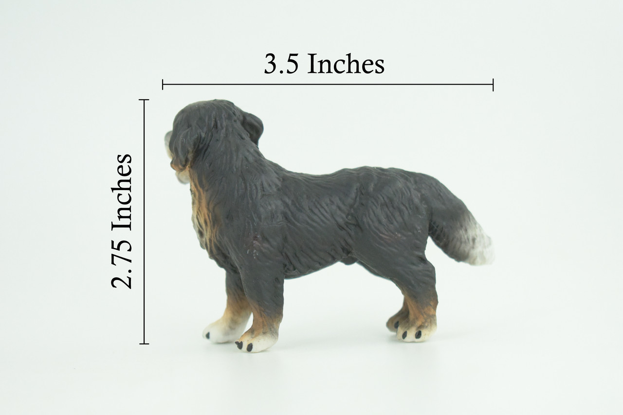 Bernese Mountain Dog, Hand Painted, Educational, Museum Quality, Realistic, Rubber Canine, K9, Diorama, Figure, Toys, Kids, Gift, 3 1/2 Inches. CH905 BB203