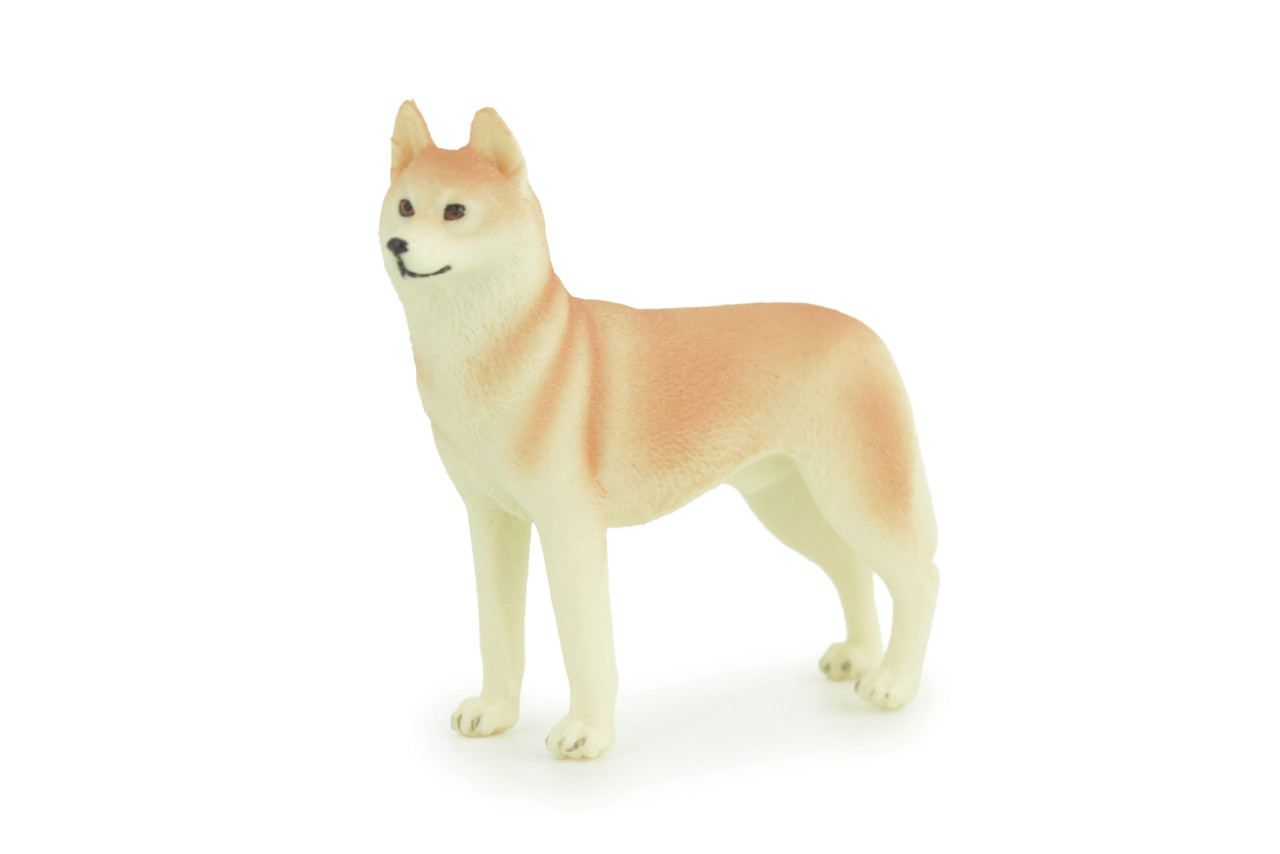 Siberian Husky Dog, Hand Painted, Educational, Museum Quality, Realistic, Rubber Canine, K9, Diorama, Figure, Toys, Kids, Gift, 4 Inches. CH906 BB203 