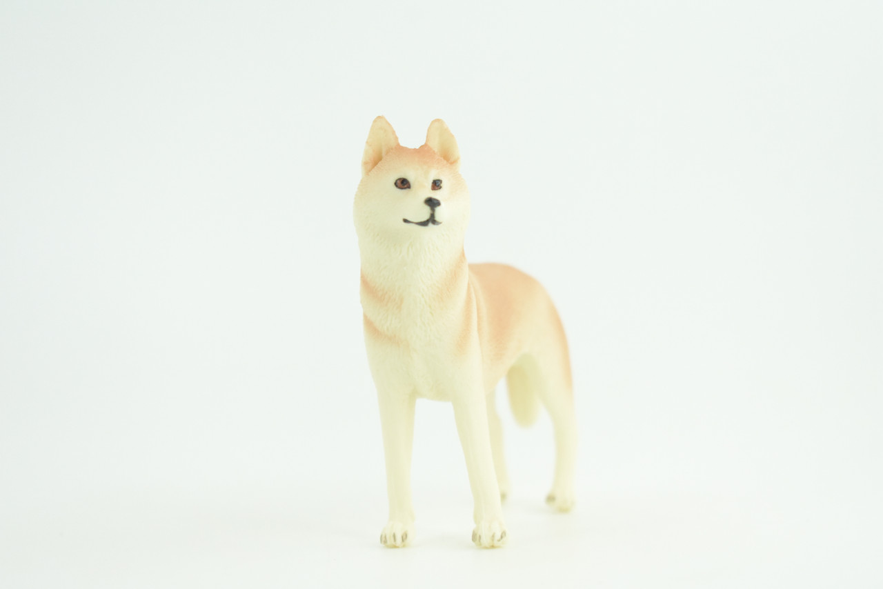 Siberian Husky Dog, Hand Painted, Educational, Museum Quality, Realistic, Rubber Canine, K9, Diorama, Figure, Toys, Kids, Gift,  4 Inches. CH906 BB203