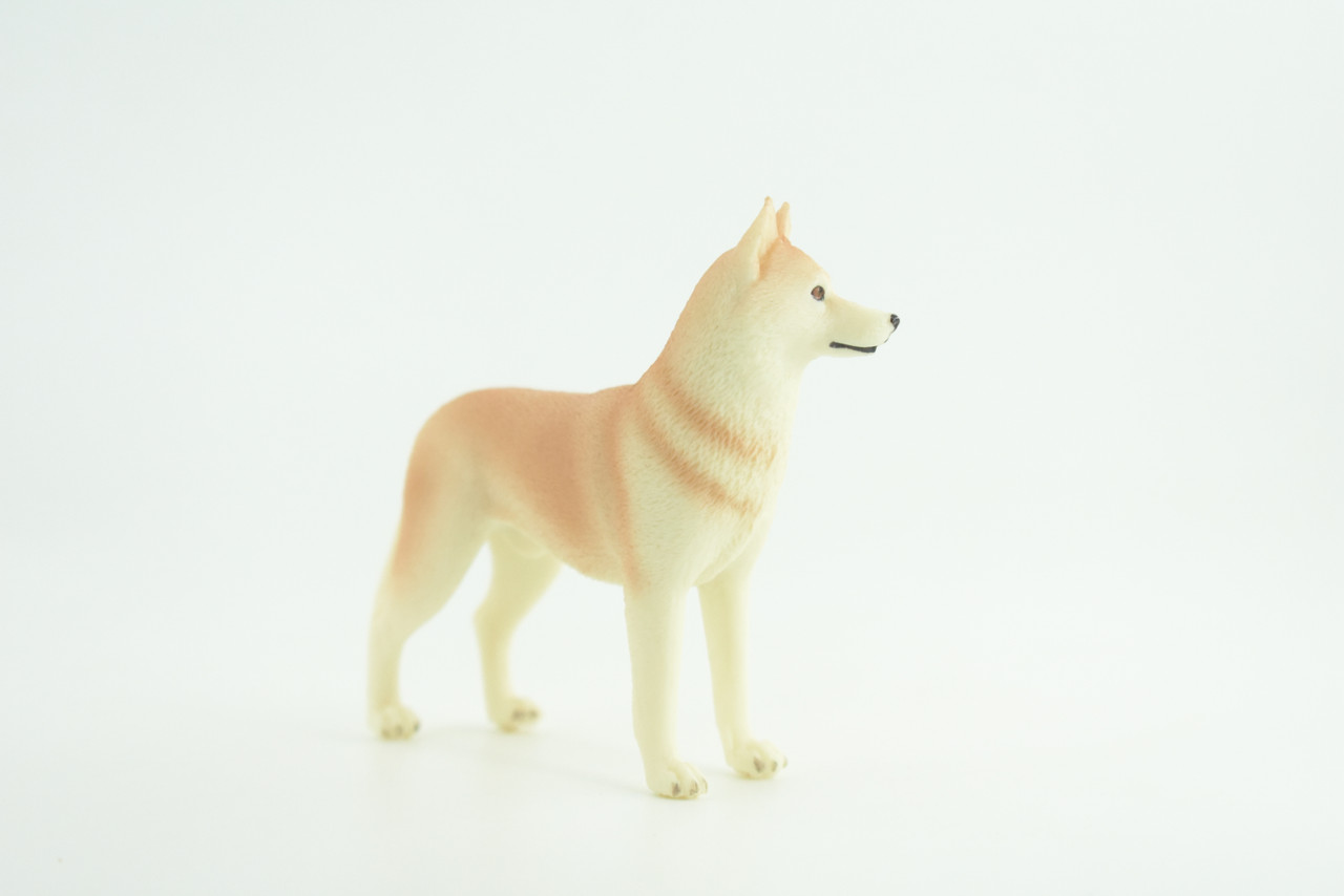 Siberian Husky Dog, Hand Painted, Educational, Museum Quality, Realistic, Rubber Canine, K9, Diorama, Figure, Toys, Kids, Gift,  4 Inches. CH906 BB203