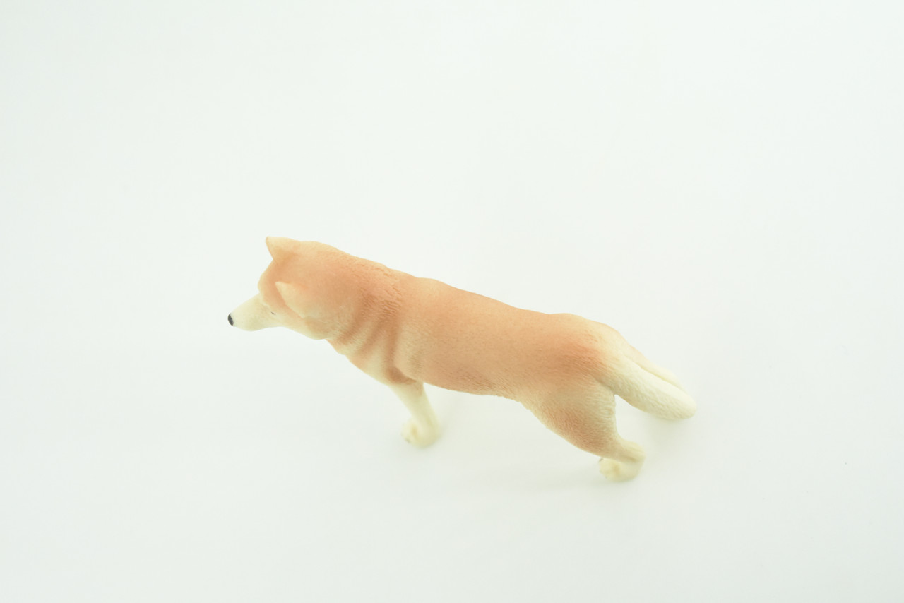 Siberian Husky Dog, Hand Painted, Educational, Museum Quality, Realistic, Rubber Canine, K9, Diorama, Figure, Toys, Kids, Gift,  4 Inches. CH906 BB203