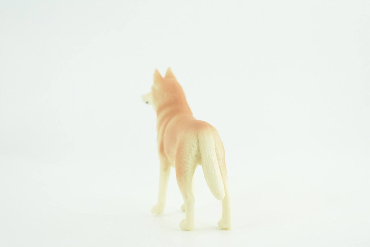Siberian Husky Dog, Hand Painted, Educational, Museum Quality, Realistic, Rubber Canine, K9, Diorama, Figure, Toys, Kids, Gift,  4 Inches. CH906 BB203
