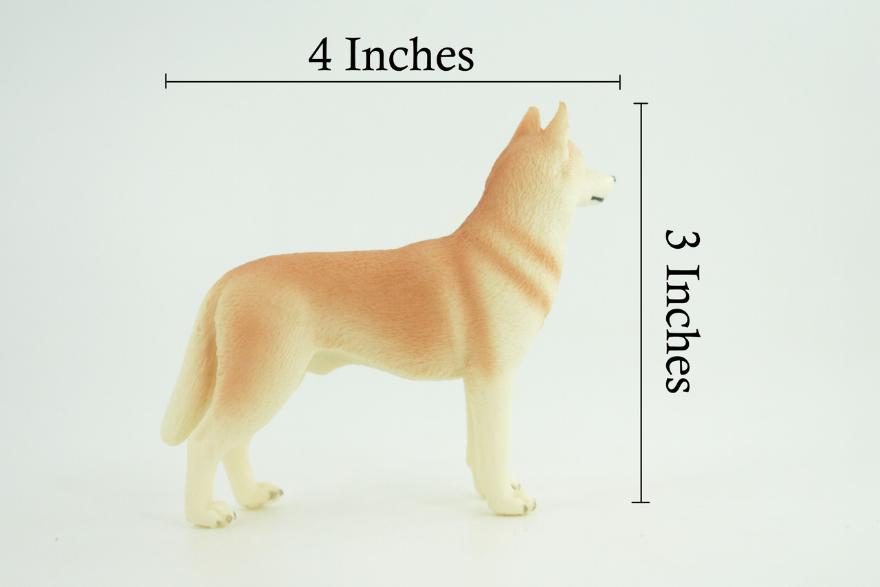 Siberian Husky Dog, Hand Painted, Educational, Museum Quality, Realistic, Rubber Canine, K9, Diorama, Figure, Toys, Kids, Gift, 4 Inches. CH906 BB203 