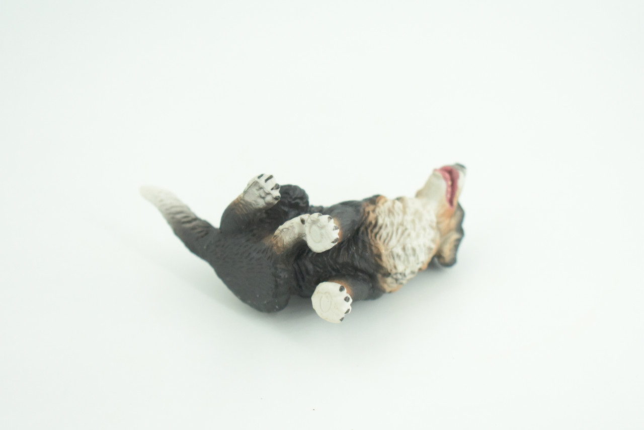 Bernese Mountain Dog, Hand Painted, Educational, Museum Quality, Realistic, Rubber Canine, K9, Diorama, Figure, Toys, Kids, Gift,  2 3/4 Inches. CH907 BB203