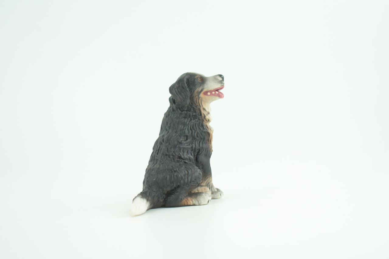 Bernese Mountain Dog, Hand Painted, Educational, Museum Quality, Realistic, Rubber Canine, K9, Diorama, Figure, Toys, Kids, Gift,  2 3/4 Inches. CH907 BB203