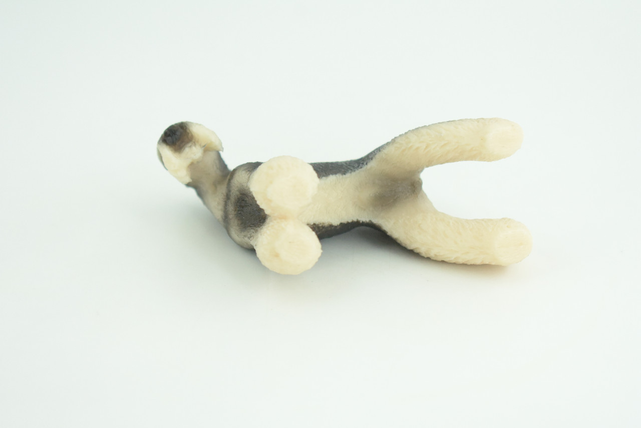 Schnauzer Dog, Hand Painted, Educational, Museum Quality, Realistic, Rubber Canine, K9, Diorama, Figure, Toys, Kids, Gift,  3 1/2 Inches. CH909 BB203