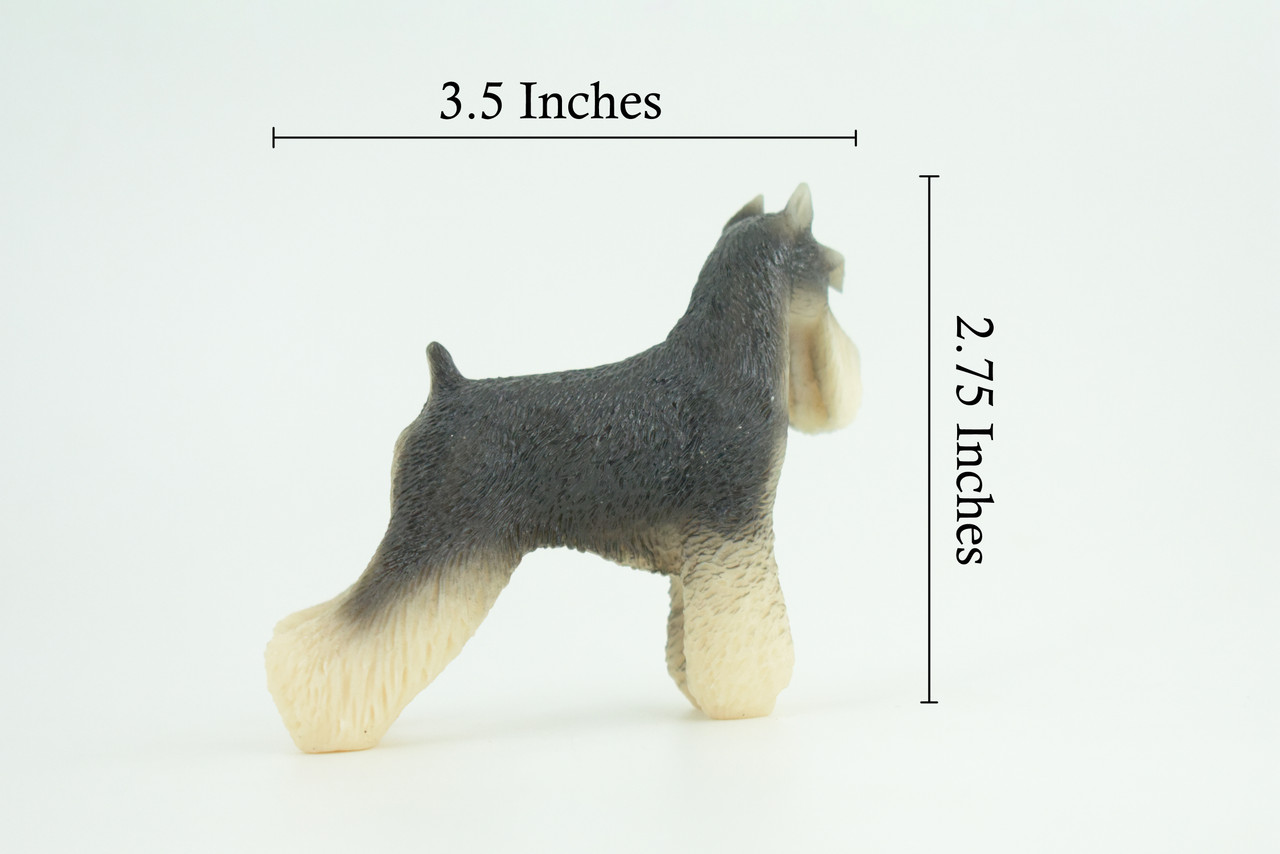 Schnauzer Dog, Hand Painted, Educational, Museum Quality, Realistic, Rubber Canine, K9, Diorama, Figure, Toys, Kids, Gift, 3 1/2 Inches. CH909 BB203