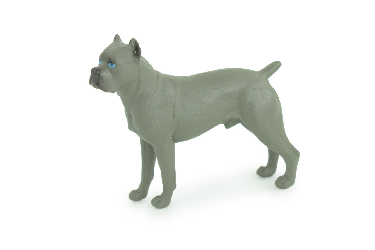 Cane Corso Dog, Hand Painted, Educational, Museum Quality, Realistic, Rubber Canine, K9, Diorama, Figure, Toys, Kids, Gift, 4 Inches. CH910 BB203