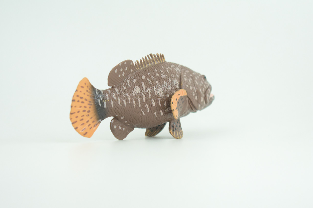 Grouper, Spotted, Hand Painted, Educational, Museum Quality, Realistic, Rubber, Saltwater Fish, Diorama, Figure, Toys, Kids, Gift,  5 1/2 Inches. CH912 BB203