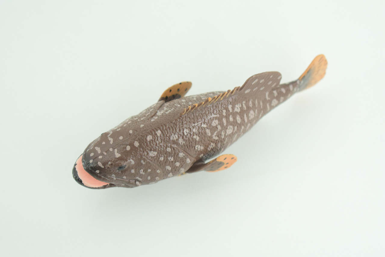Grouper, Spotted, Hand Painted, Educational, Museum Quality, Realistic, Rubber, Saltwater Fish, Diorama, Figure, Toys, Kids, Gift,  5 1/2 Inches. CH912 BB203