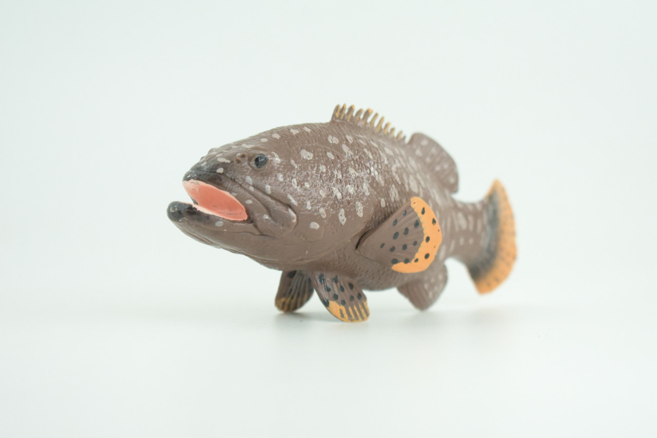 Grouper, Spotted, Hand Painted, Educational, Museum Quality, Realistic, Rubber, Saltwater Fish, Diorama, Figure, Toys, Kids, Gift,  5 1/2 Inches. CH912 BB203
