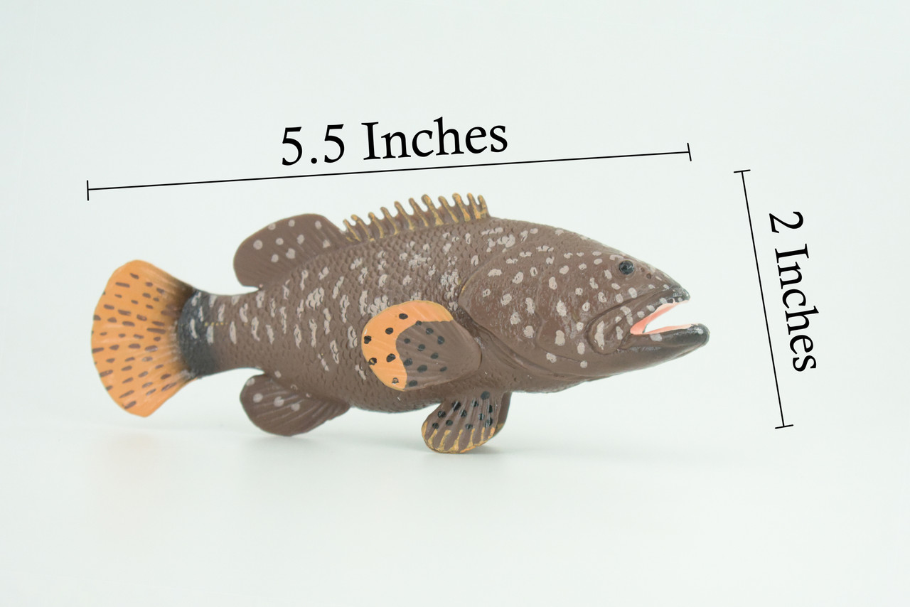 Grouper, Spotted, Hand Painted, Educational, Museum Quality, Realistic, Rubber, Saltwater Fish, Diorama, Figure, Toys, Kids, Gift, 5 1/2 Inches. CH912 BB203