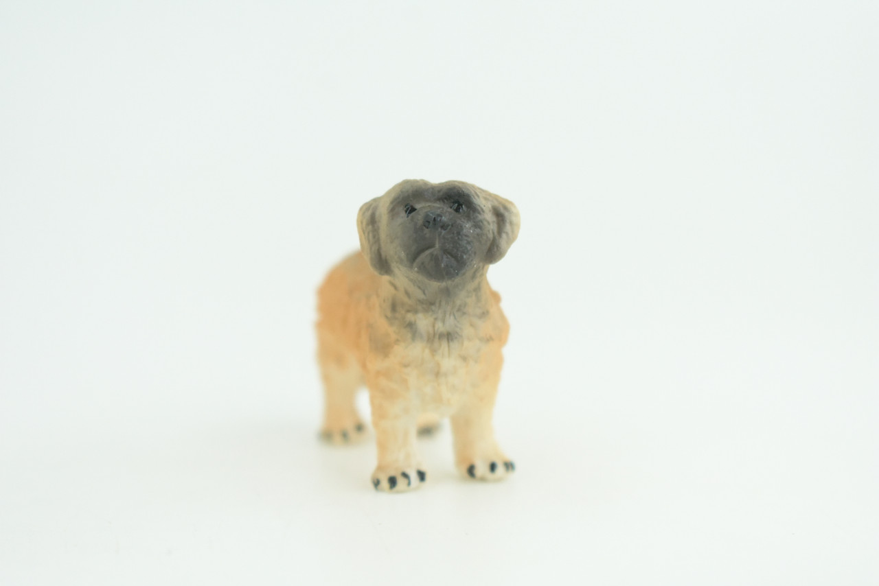 Maltese Dog, Hand Painted, Educational, Museum Quality, Realistic, Rubber Canine, K9, Diorama, Figure, Toys, Kids, Gift,  2 Inches. CH914 BB204