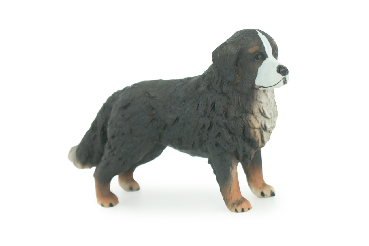 Bernese Mountain Dog, Hand Painted, Educational, Museum Quality, Realistic, Rubber Canine, K9, Diorama, Figure, Toys, Kids, Gift, 3 Inches. CH915 BB204