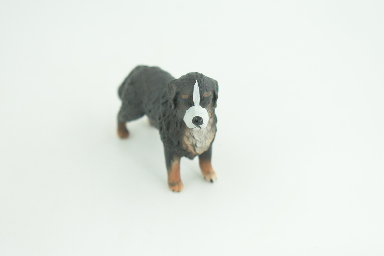 Bernese Mountain Dog, Hand Painted, Educational, Museum Quality, Realistic, Rubber Canine, K9, Diorama, Figure, Toys, Kids, Gift,  3 Inches. CH915 BB204