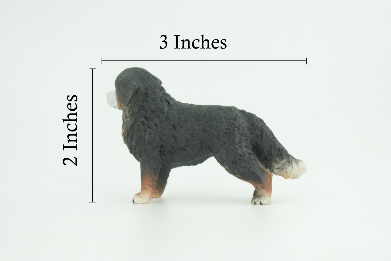 Bernese Mountain Dog, Hand Painted, Educational, Museum Quality, Realistic, Rubber Canine, K9, Diorama, Figure, Toys, Kids, Gift, 3 Inches. CH915 BB204