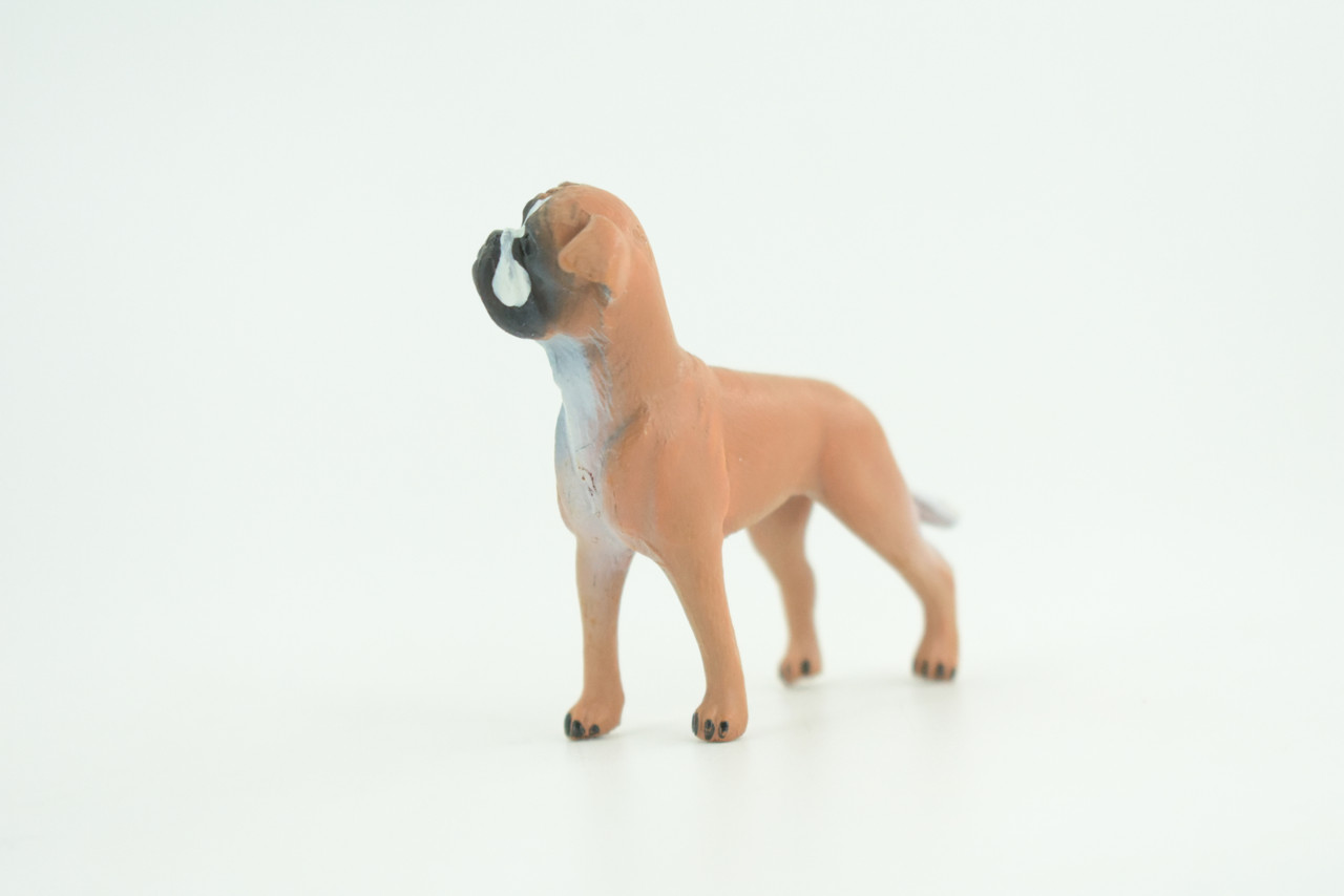 Boxer Dog, Hand Painted, Educational, Museum Quality, Realistic, Rubber Canine, K9, Diorama, Figure, Toys, Kids, Gift,  2 1/2 Inches. CH916 BB204