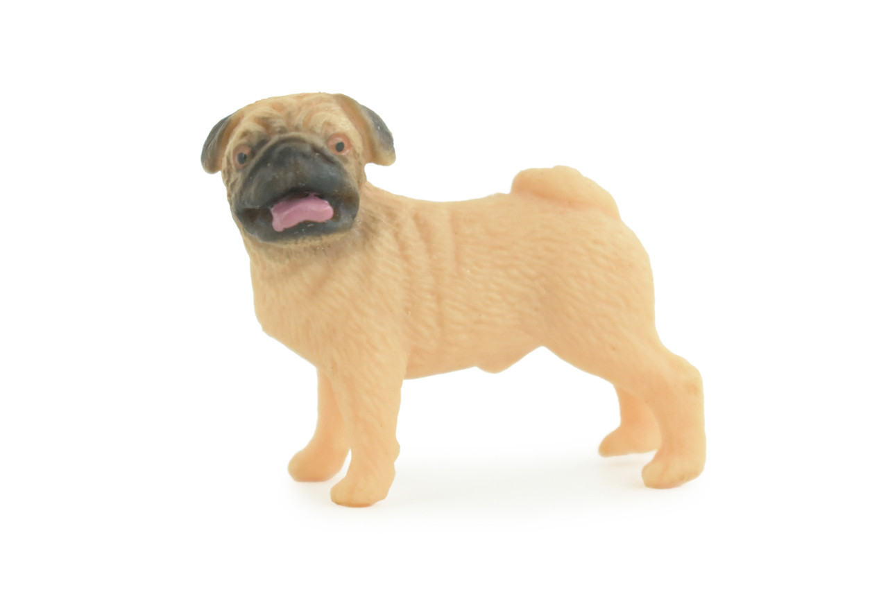 Pug Puppy Dog, Hand Painted, Educational, Museum Quality, Realistic, Rubber Canine, K9, Diorama, Figure, Toys, Kids, Gift, 1 3/4 Inches. CH917 BB204