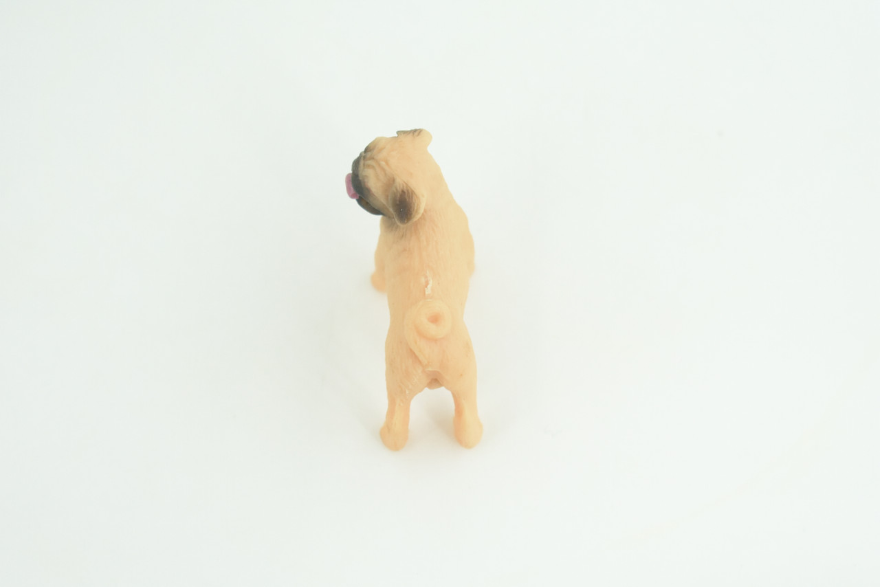 Pug Puppy Dog, Hand Painted, Educational, Museum Quality, Realistic, Rubber Canine, K9, Diorama, Figure, Toys, Kids, Gift,  1 3/4 Inches. CH917 BB204