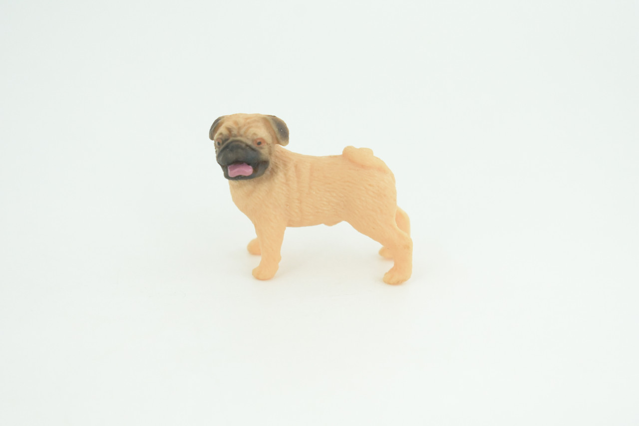Pug Puppy Dog, Hand Painted, Educational, Museum Quality, Realistic, Rubber Canine, K9, Diorama, Figure, Toys, Kids, Gift,  1 3/4 Inches. CH917 BB204