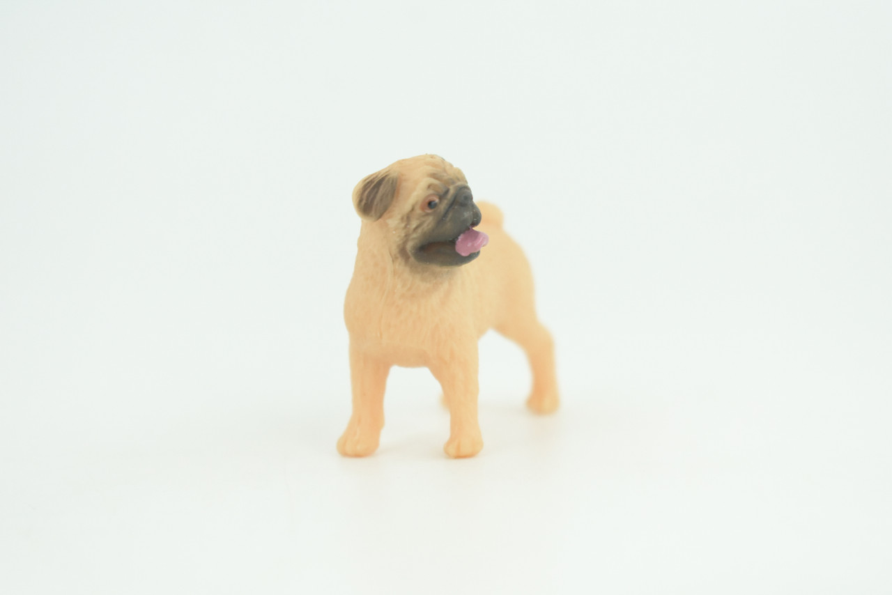 Pug Puppy Dog, Hand Painted, Educational, Museum Quality, Realistic, Rubber Canine, K9, Diorama, Figure, Toys, Kids, Gift,  1 3/4 Inches. CH917 BB204